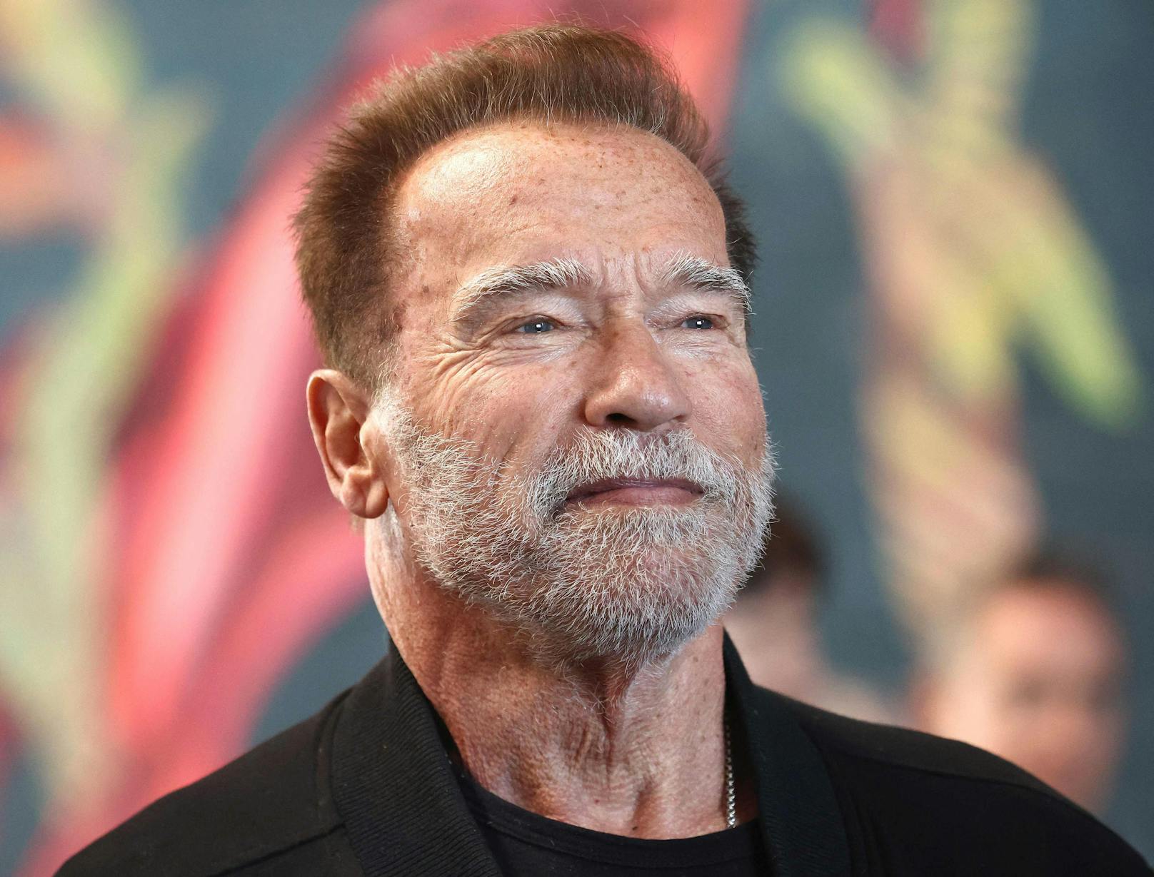 Arnold Schwarzenegger: "Sollte Oscar bekommen"