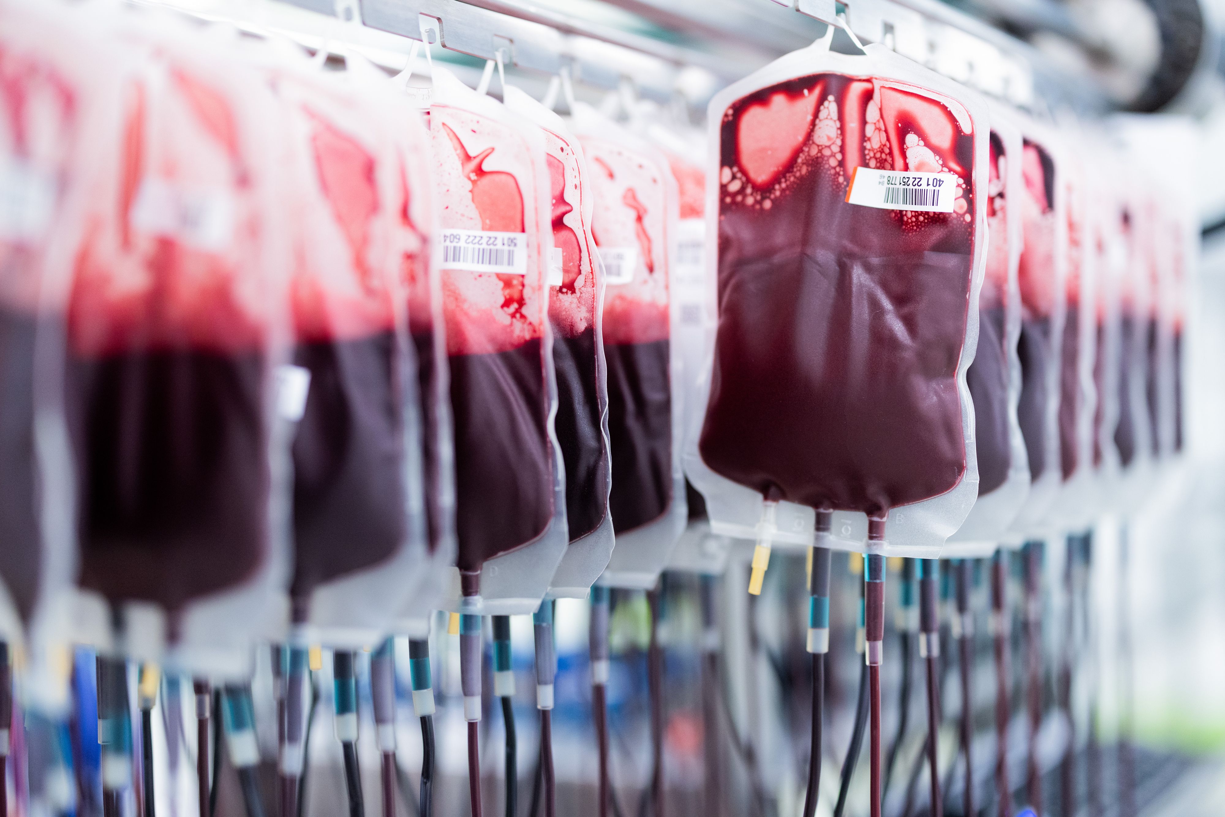  Das Rote Kreuz kämpft beim Blutspenden mit der demografischen Entwicklung.