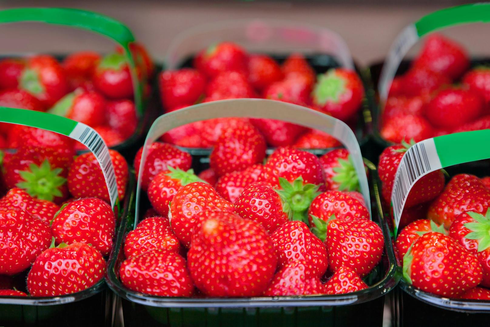 Erdbeeren sollen erst unmittelbar vor dem Verzehr gewaschen werden.
