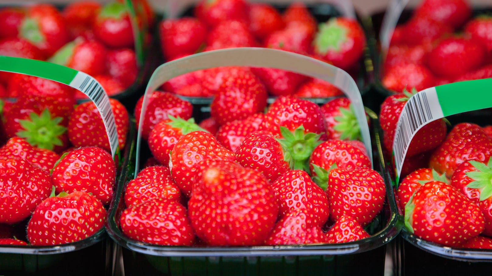 Erdbeeren gehören zum Sommer einfach dazu. Besonders gut schmecken sie, wenn sie aus der Region kommen.