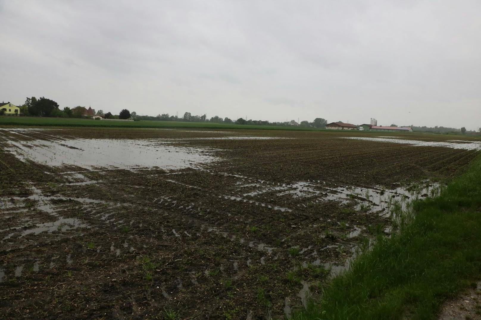 Dauerregen: Die Situation im Bezirk Tulln