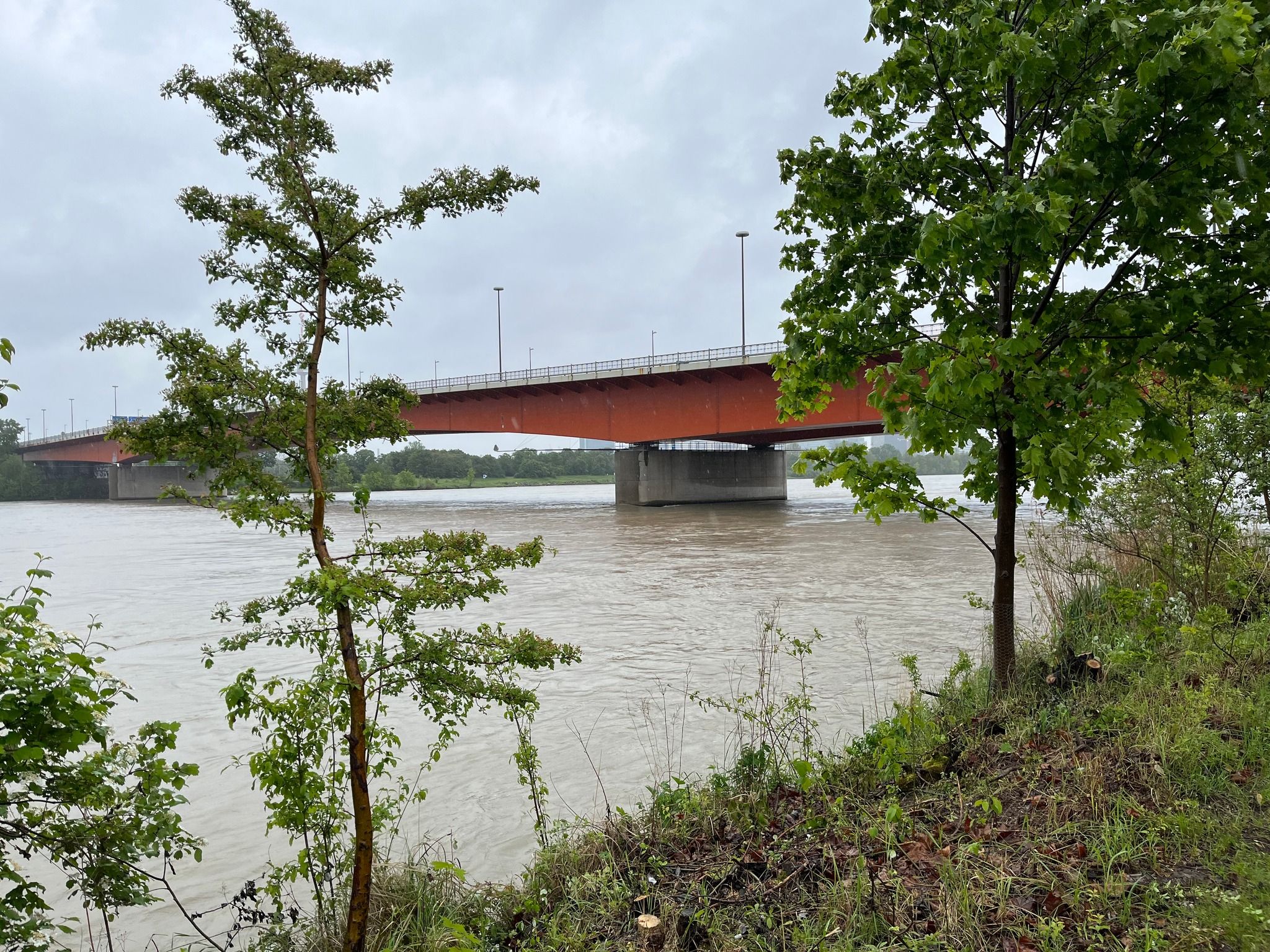 Der Regen der vergangenen Tage hat den Wasserstand der Donau deutliche ansteigen lassen.