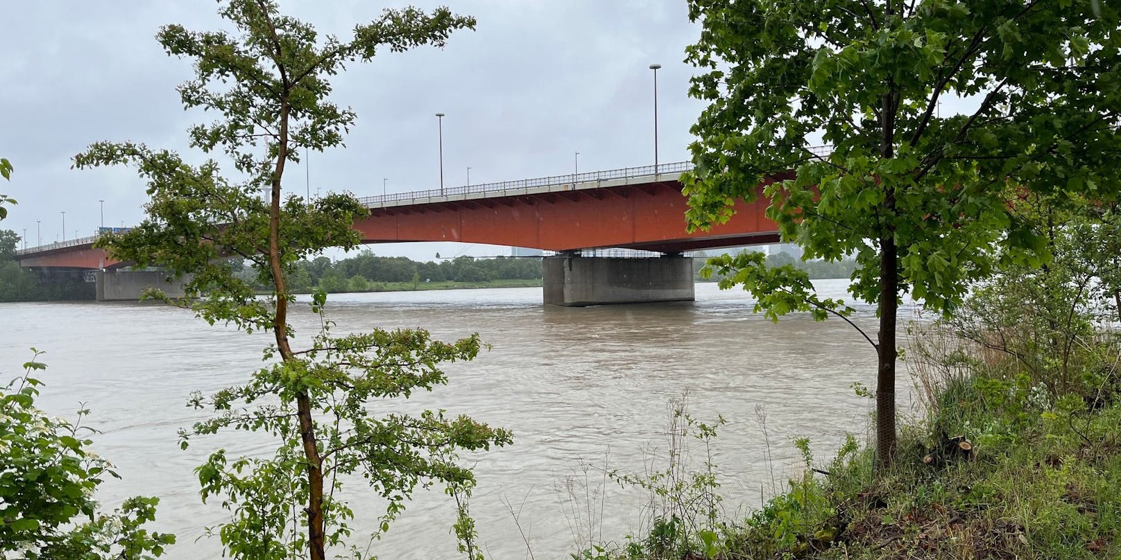 Der Regen der vergangenen Tage hat den Wasserstand der Donau deutliche ansteigen lassen.