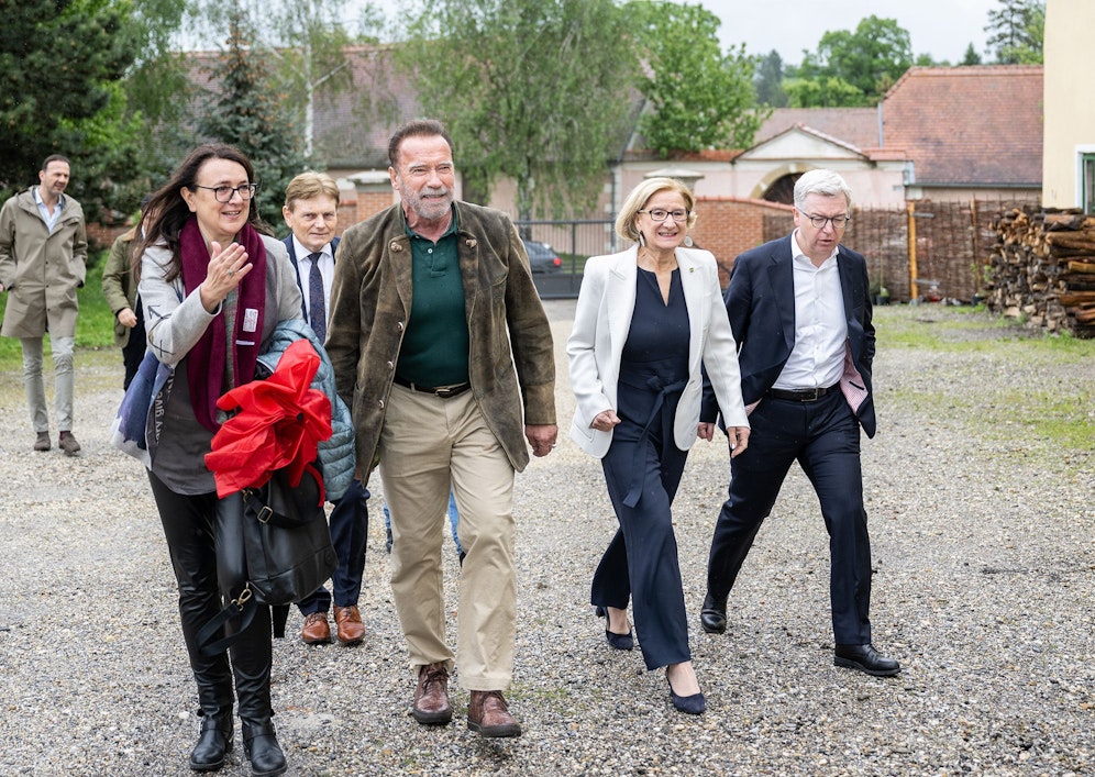 Arnold Schwarzenegger im Bezirk Mistelbach