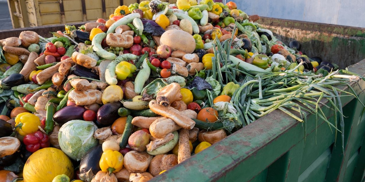 Abgelaufene Lebensmittel müssen nicht gleich entsorgt werden.