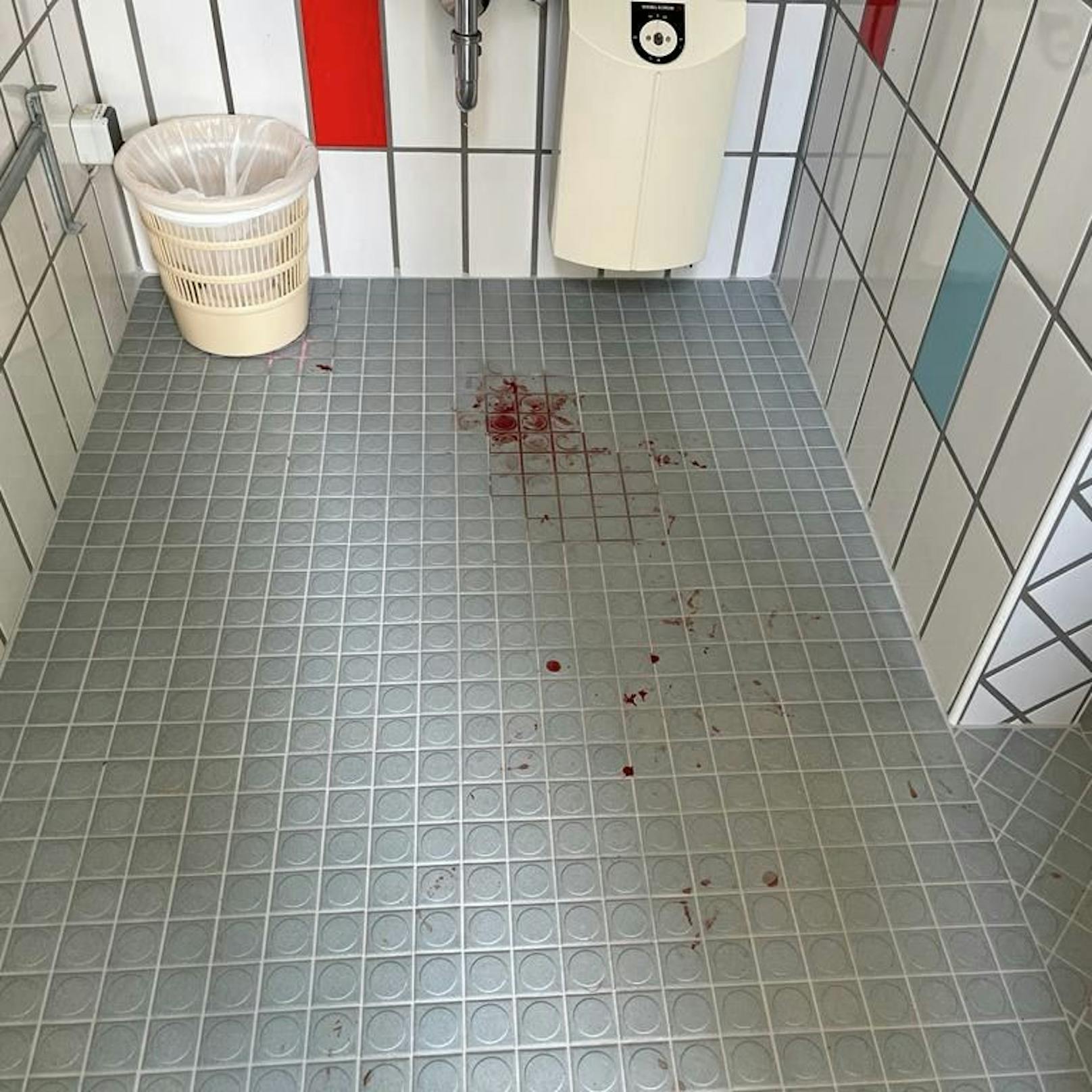 In einem Salzburger Freibad wurde vom Bademeister eine blutüberströmte Gans gefunden.&nbsp;