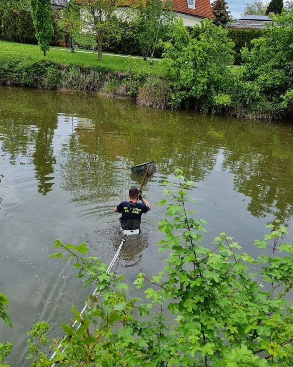 Kiste entdeckt: Feuerwehr macht grausigen Fund