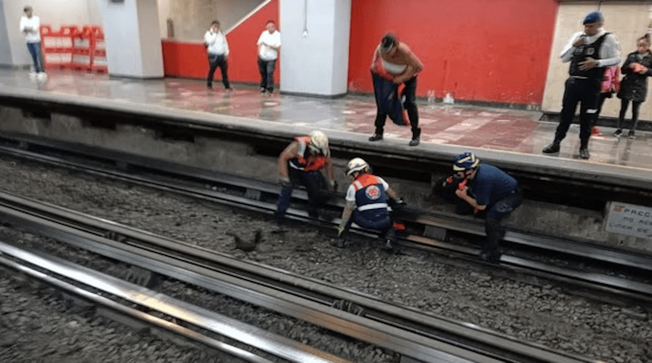 Heute.at - Huhn legt U-Bahn lahm – alles Teil einer Verschwörung?