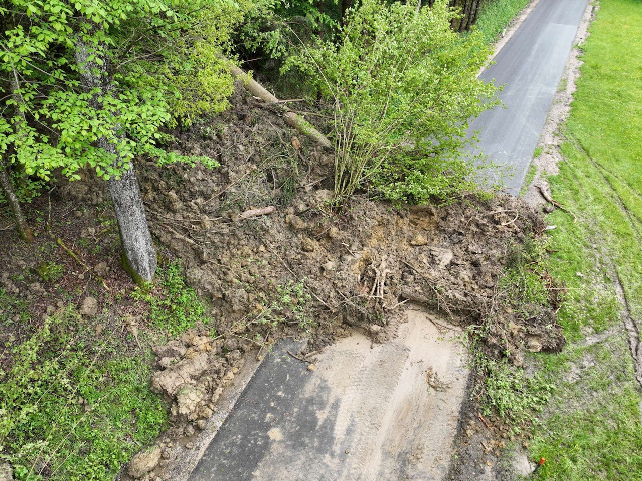 Heute.at - Regenwalze! Schlamm-Lawine verschüttet Landstraße in NÖ