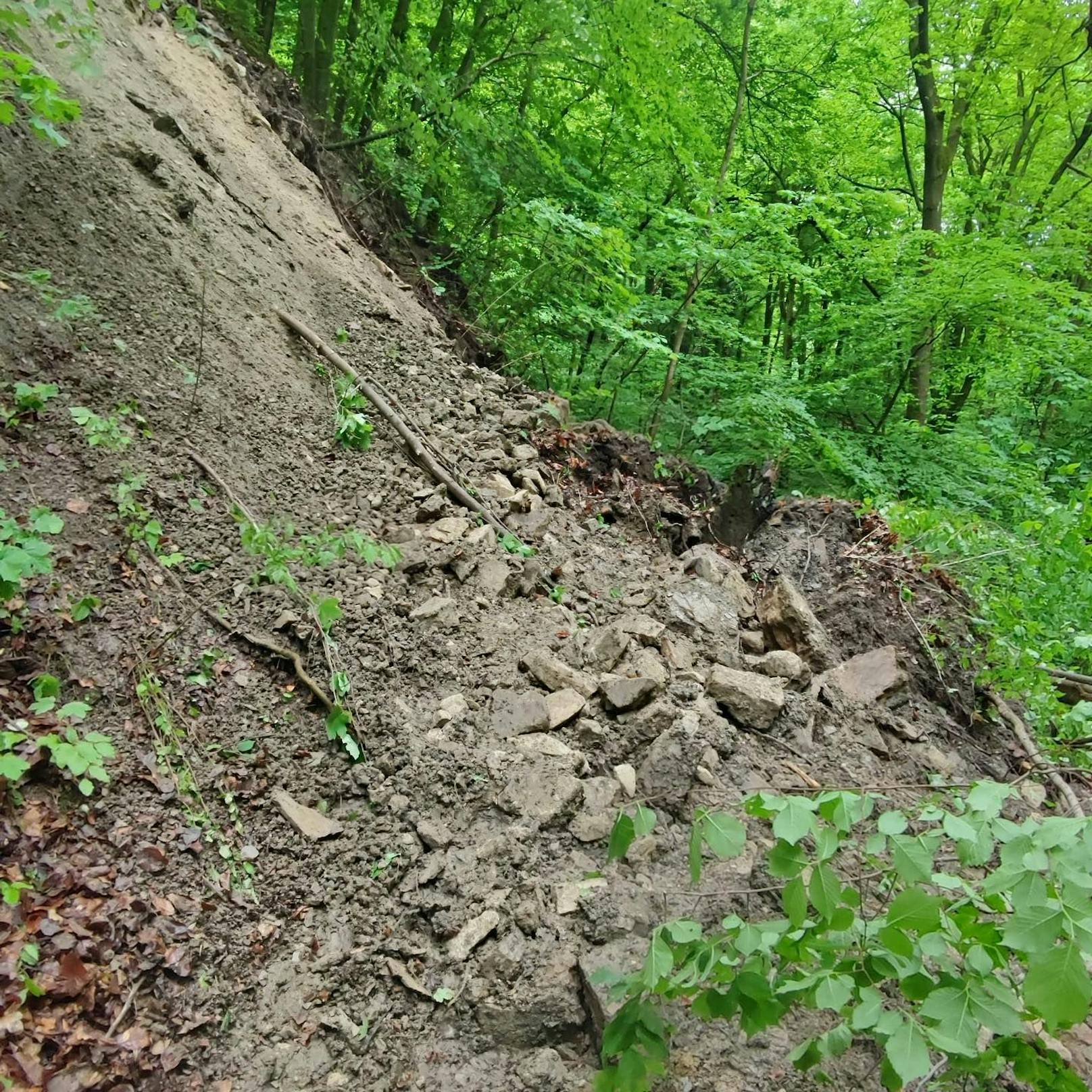 Wanderer wurden auf den Felssturz aufmerksam gemacht und ...