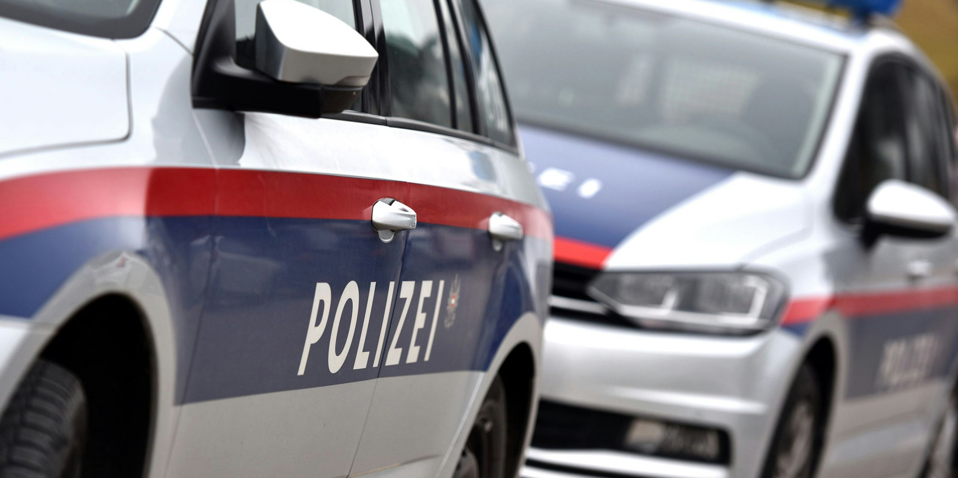 Die Polizei konnte den amtsbekannten Verdächtigen fassen. (Symbolbild)