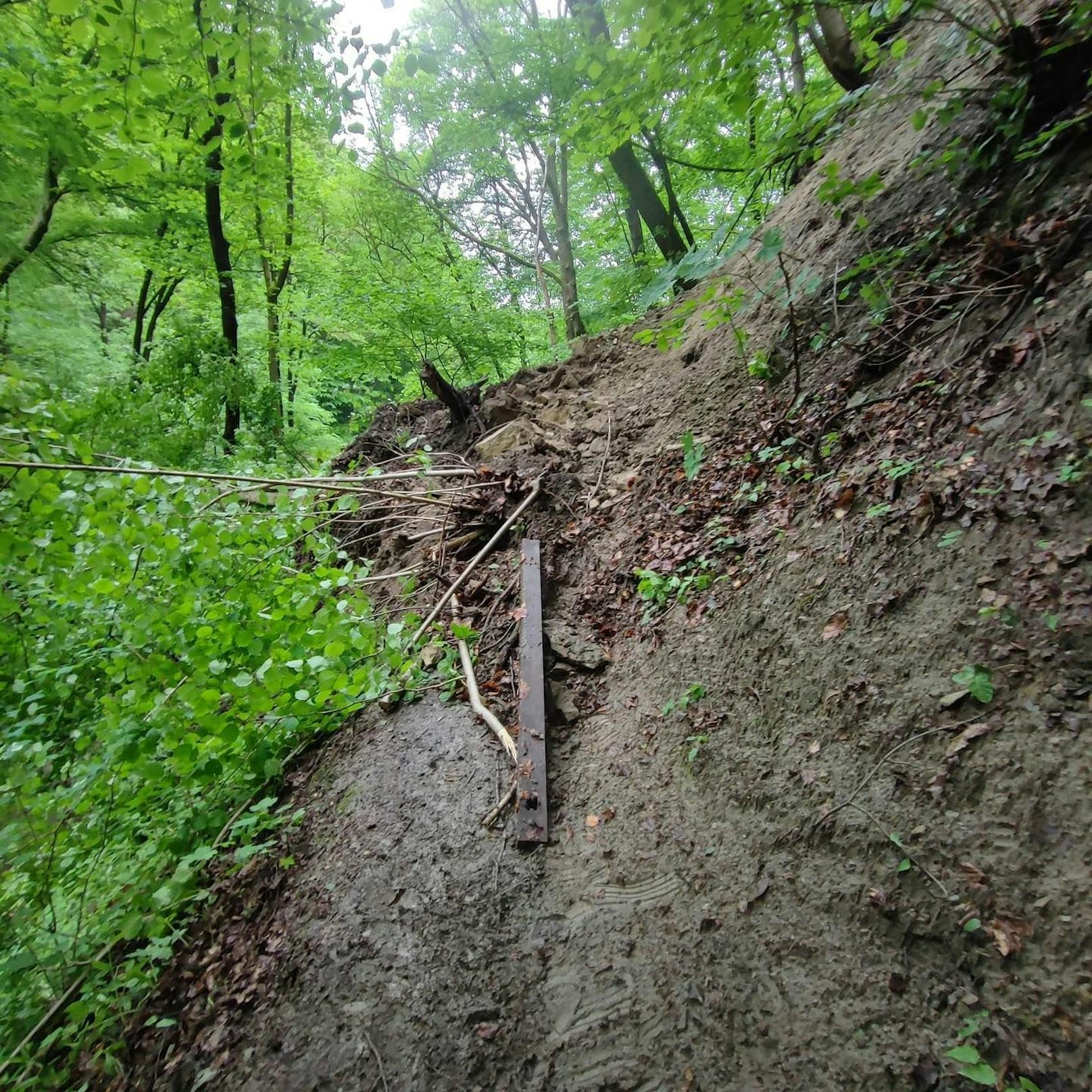 ... zu einem Hangrutsch im Bereich des Fußweges.