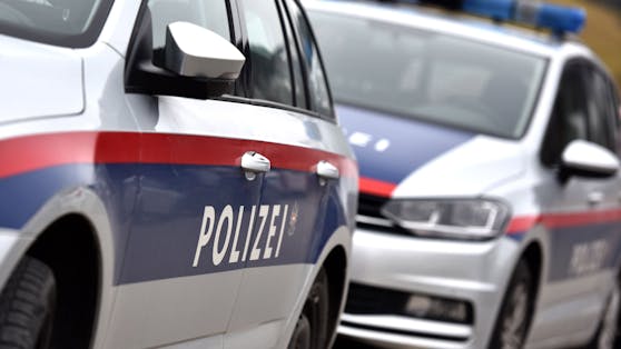 Die Polizei musste am Samstag in Wien ausrücken (Symbolbild).