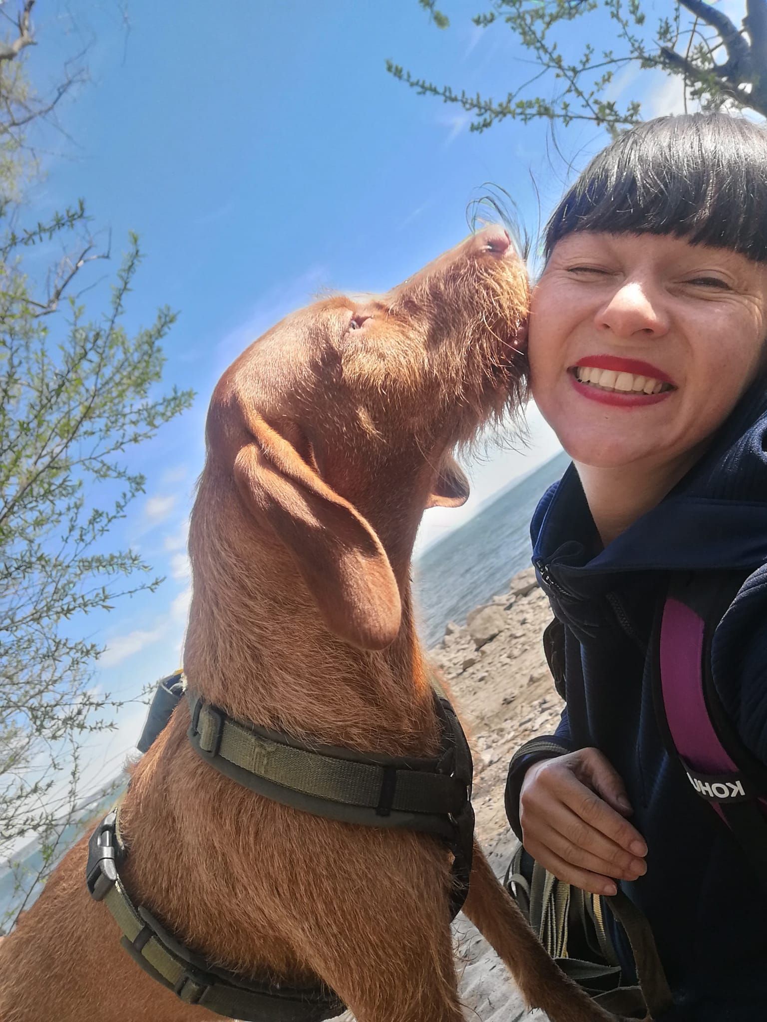 Hündin Ika sorgt für Stressabbau.