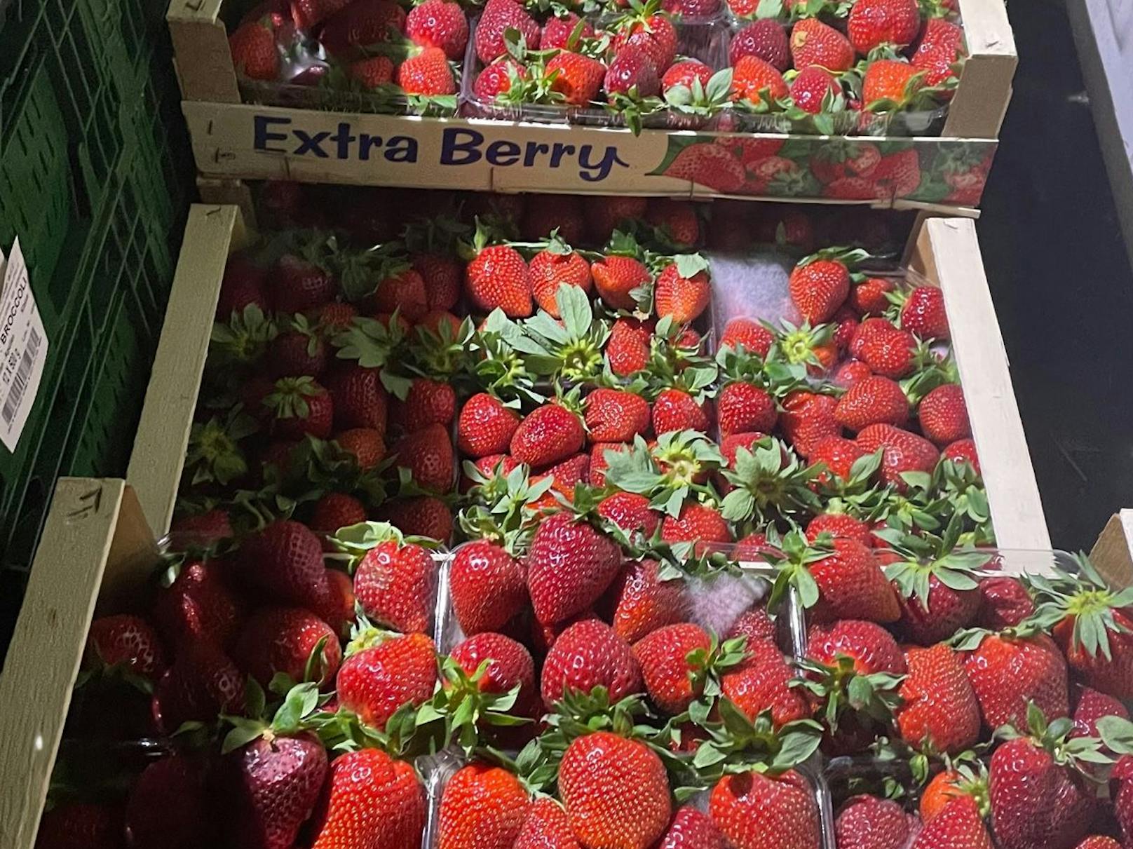 Bei einer Kontrolle am Wiener Großmarkt entdeckten die Prüfer 230 Kilo verdorbene Erdbeeren.