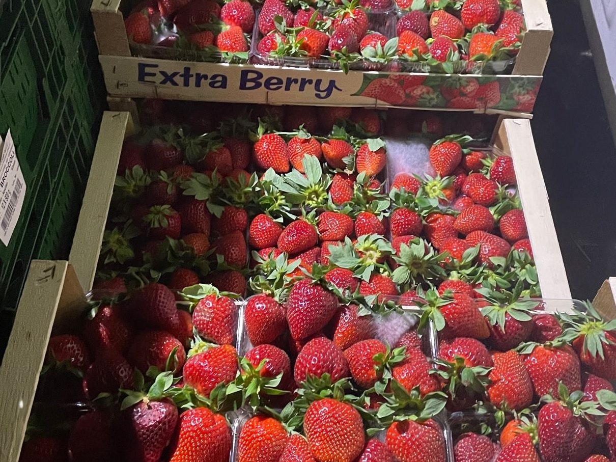 Bei einer Kontrolle am Wiener Großmarkt entdeckten die Prüfer 230 Kilo verdorbene Erdbeeren.