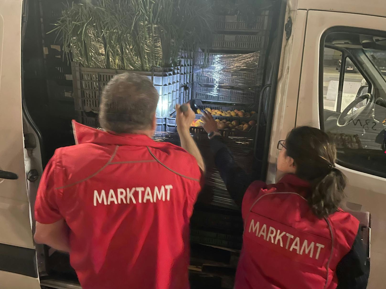 Bei einer Kontrolle des Marktamts am Wiener Großmarkt wurden über 200 Lkw kontrolliert. Insgesamt 370 Kilo verdorbenes Obst wurde aus dem Verkehr gezogen.