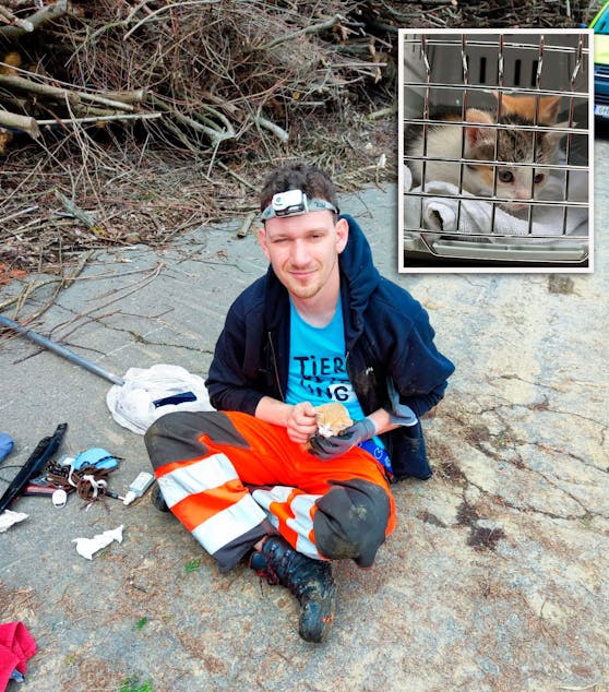 Ein Steirer schmiss eine kleine Katze brutal aus dem Auto. Stefan Fink und seine Kollegen von der Tierrettung Steiermark bargen nicht nur dieses Baby.