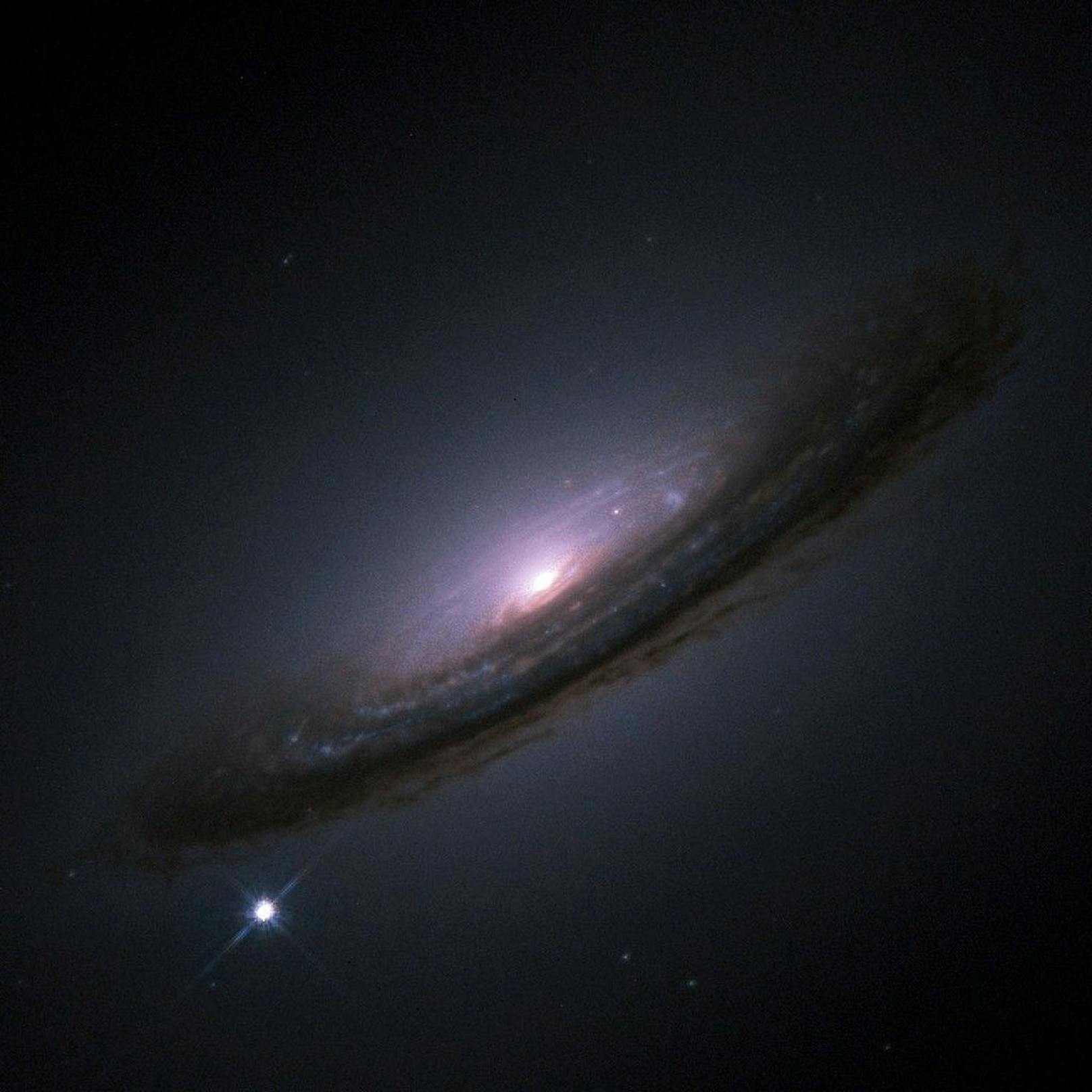 Extrem selten –  Supernova am Nachthimmel sichtbar