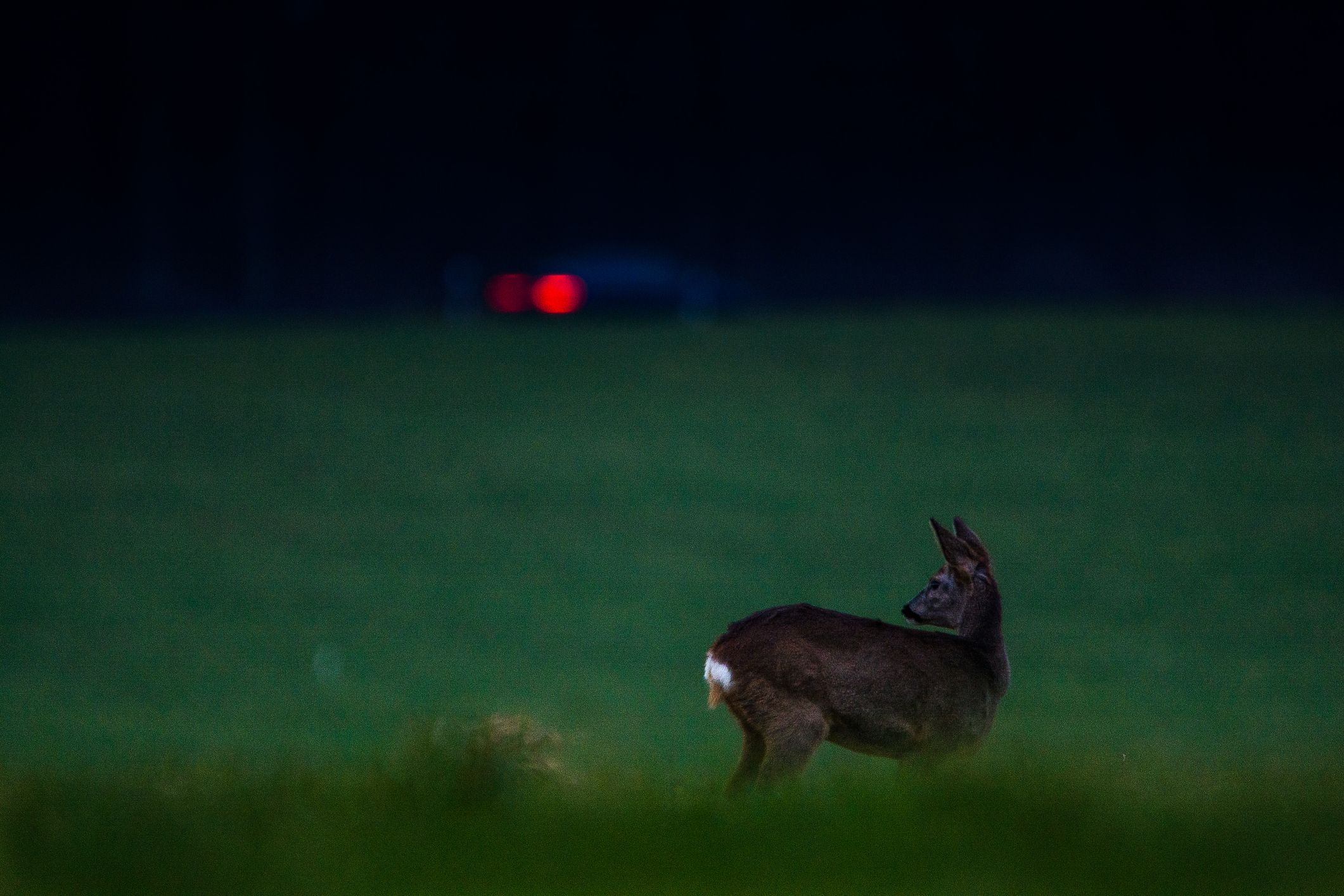 Bei schlechten Sichtverhältnissen ist besondere Vorsicht angebracht.