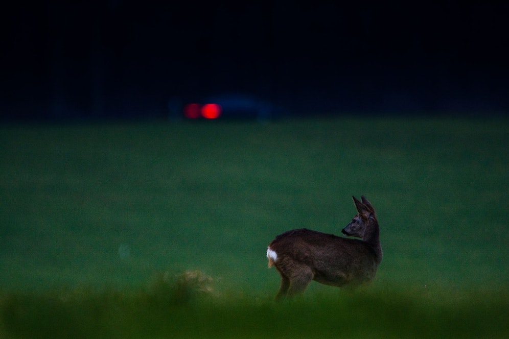 Bei schlechten Sichtverhältnissen ist besondere Vorsicht angebracht.