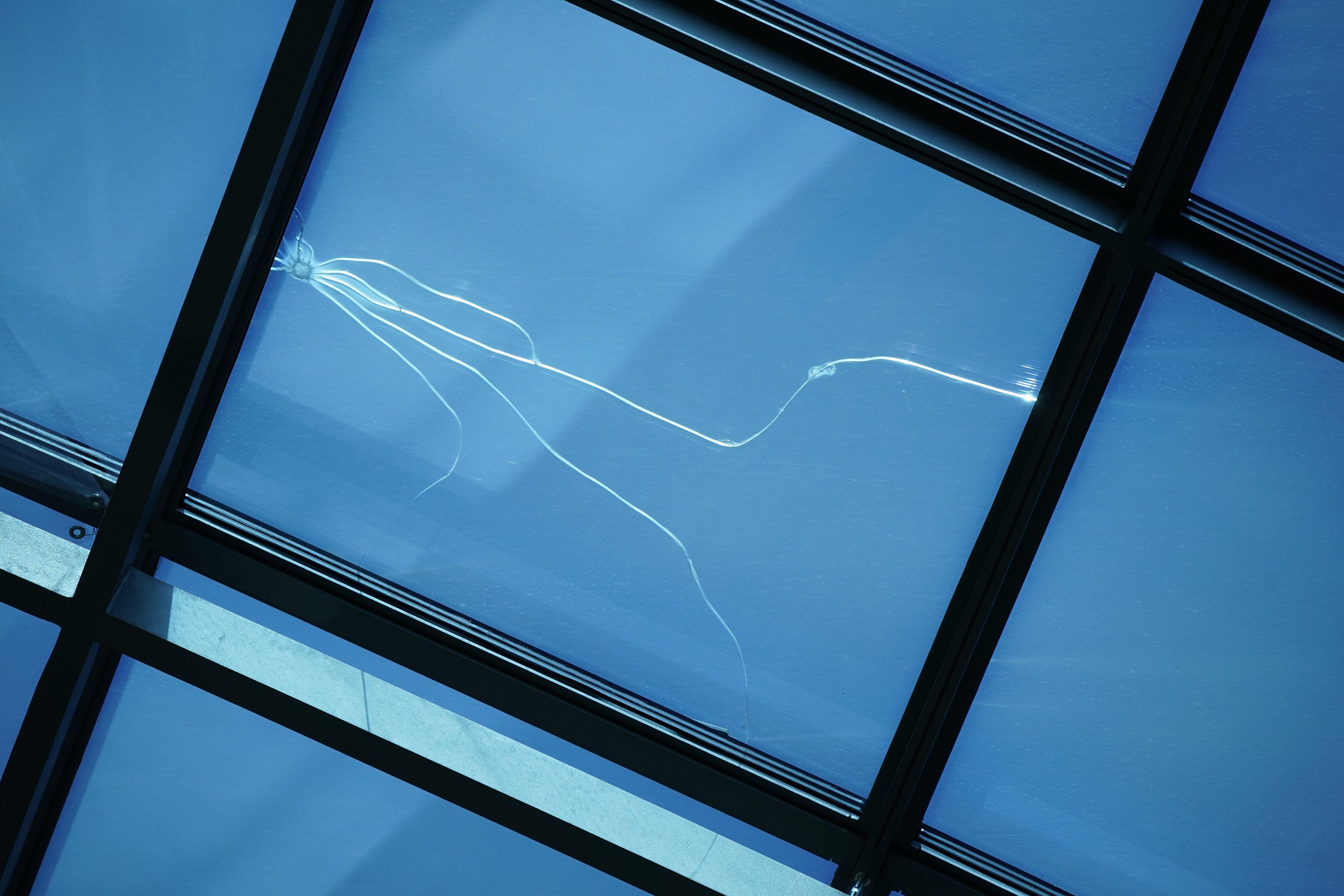 Die Glaskuppel im Parlament wurde schon wieder demoliert.