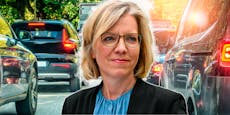 Grüne Ministerin will Verbrenner-Autos schon 2027 verbieten