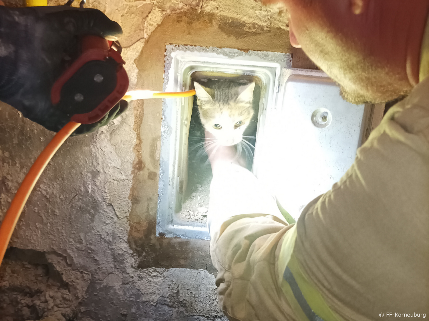 Seit einer Woche wurde die Katze vermisst. 