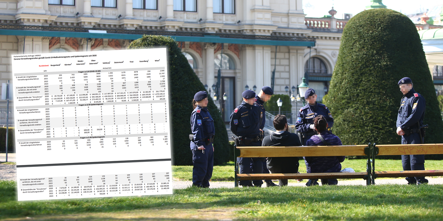 Zehntausende Menschen bekamen in Österreich Corona-Strafen verpasst und zahlten Millionen an den Staat.