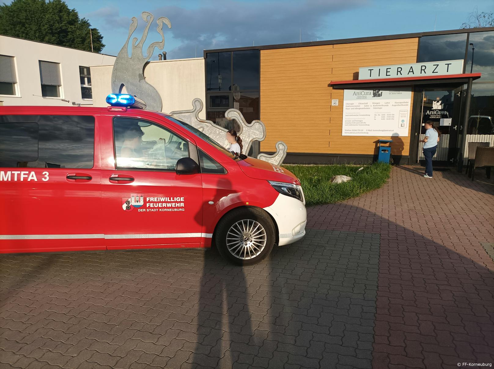 Nach der Rettung wurde die Katze zum Tierarzt gebracht.