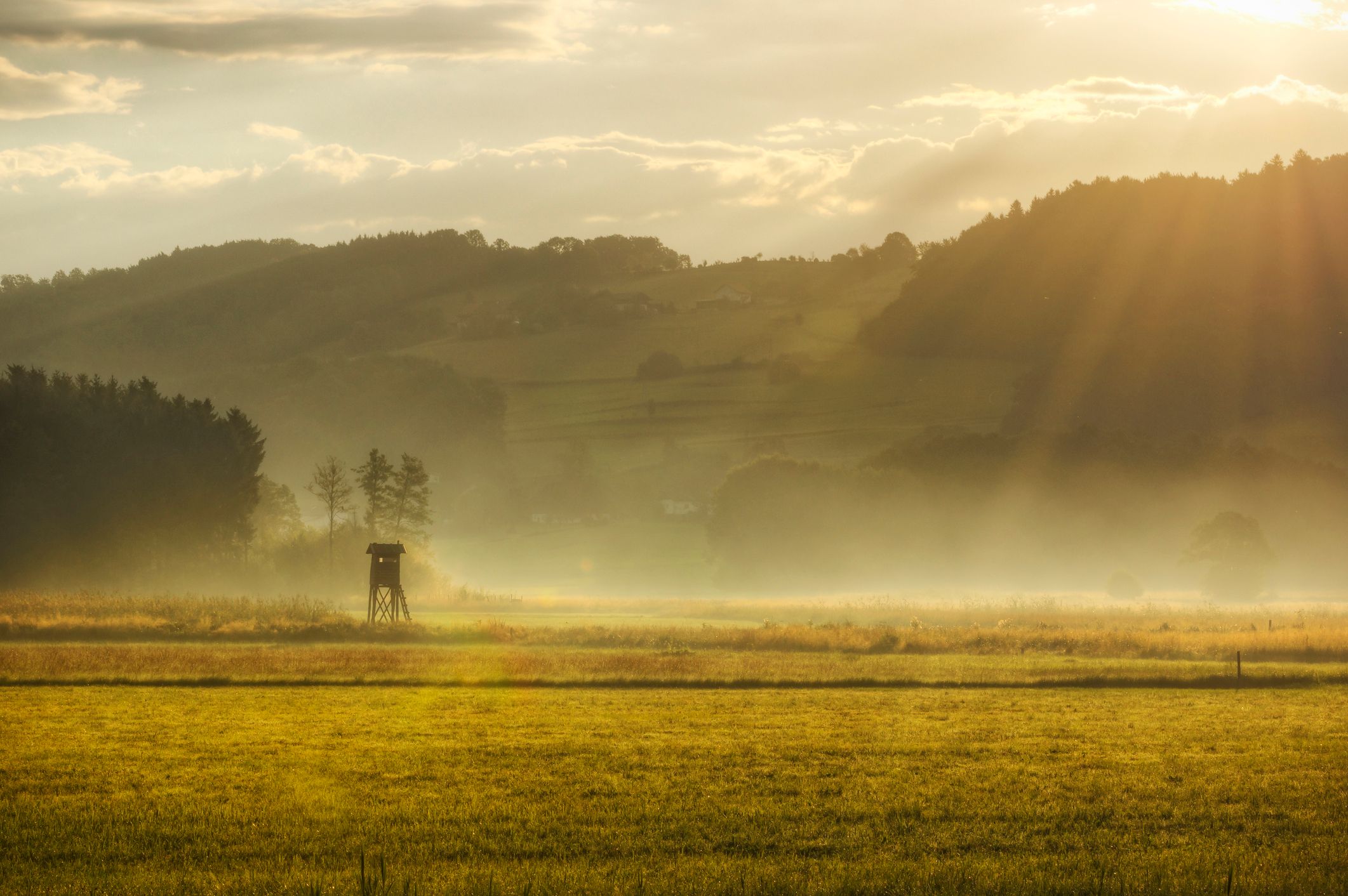 Die Sonne setzt sich in Österreich immer mehr durch. Symbolbild