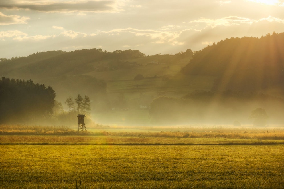 Die Sonne setzt sich in Österreich immer mehr durch. Symbolbild