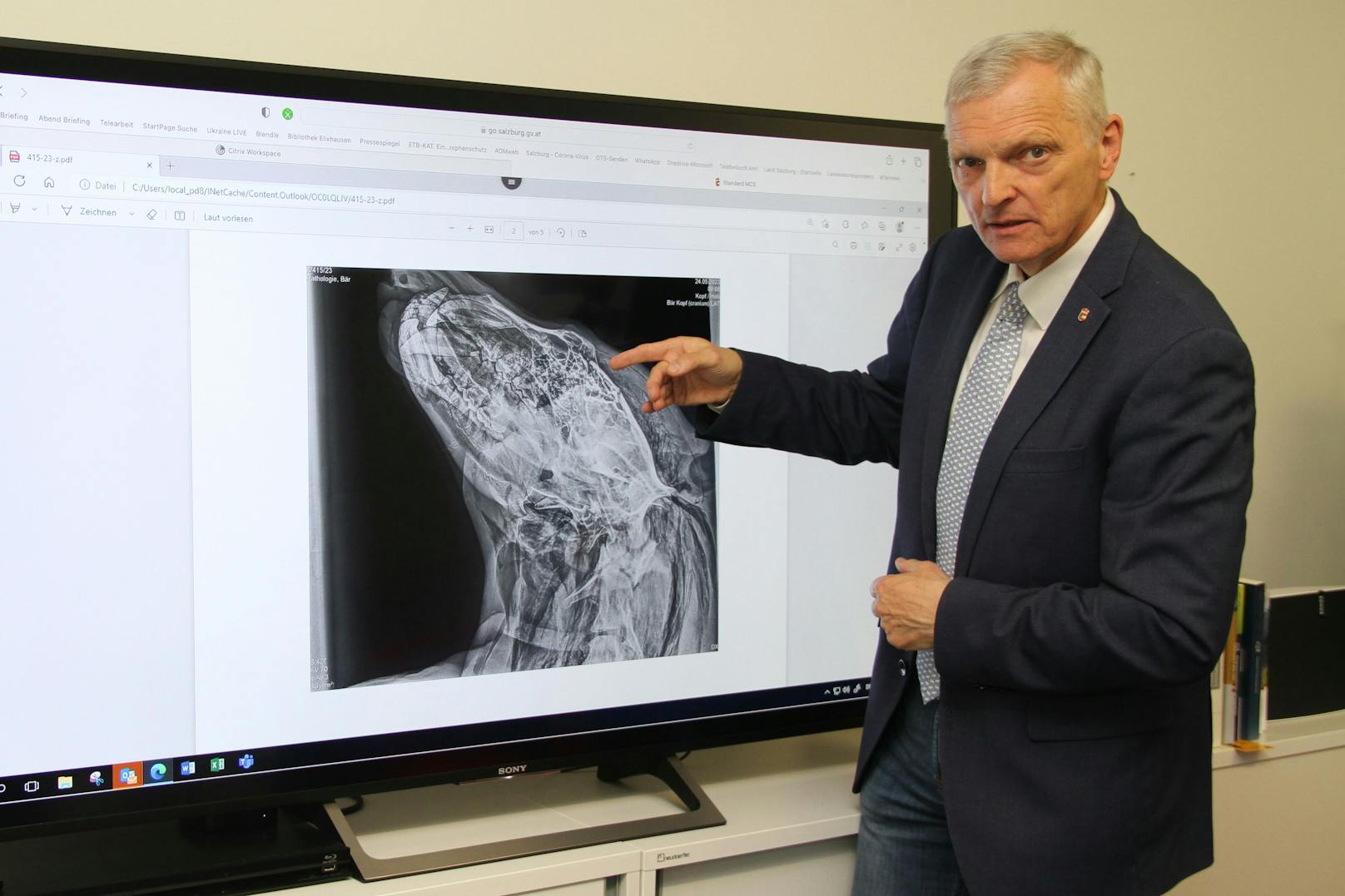 Landesveterinärdirektor Josef Schöchl mit den Röntgenbildern des verendeten Bären.