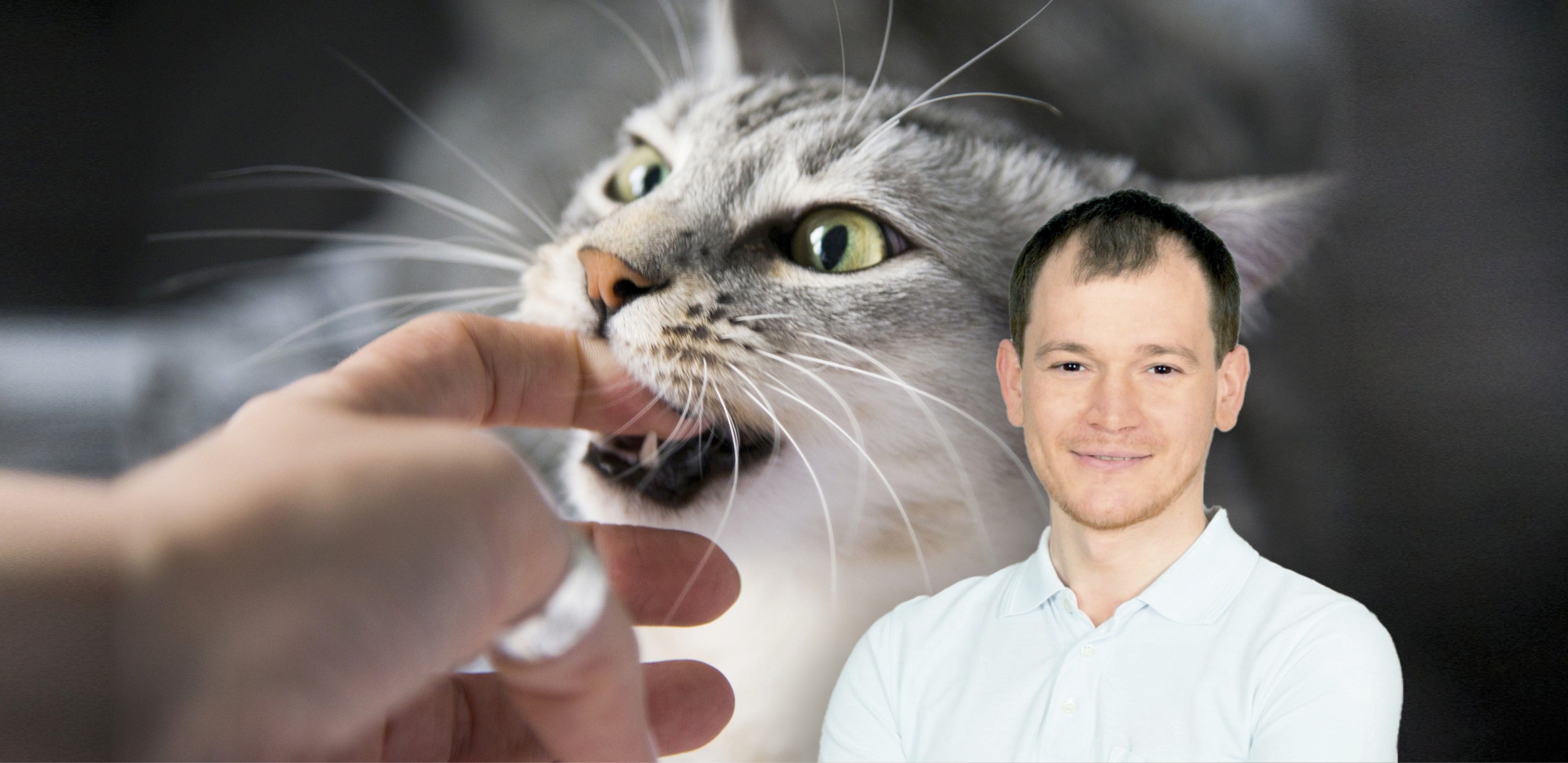 Notfallmediziner Martin Reiter betont: Bisswunden gehören gut gesäubert und desinfiziert.