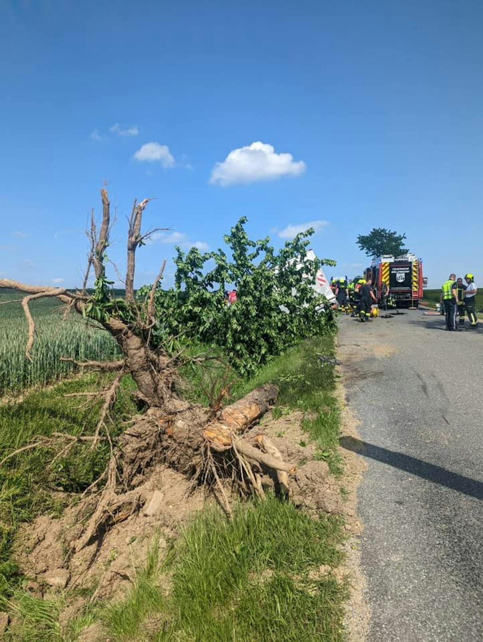 Die Feuerwehr musste den massiv eingeklemmten Lenker ...