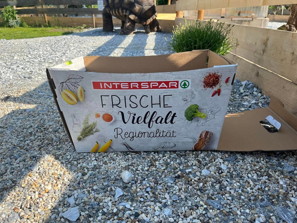 Die drei Schildis sind jetzt bei Markus Putzgruber im Bezirk Tulln untergebracht.