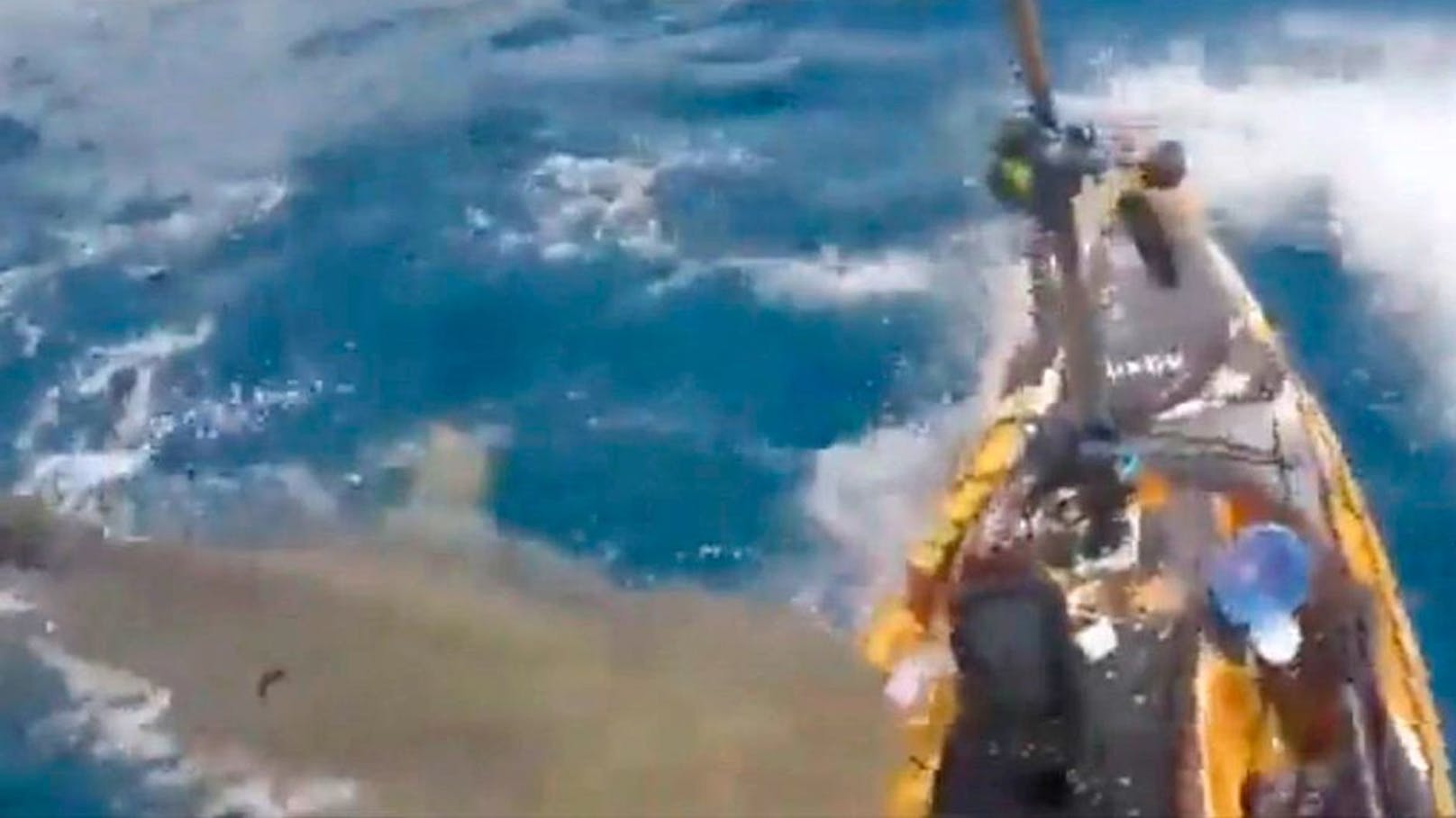 Tigerhai attackierte Kajak-Fahrer aus dem Nichts