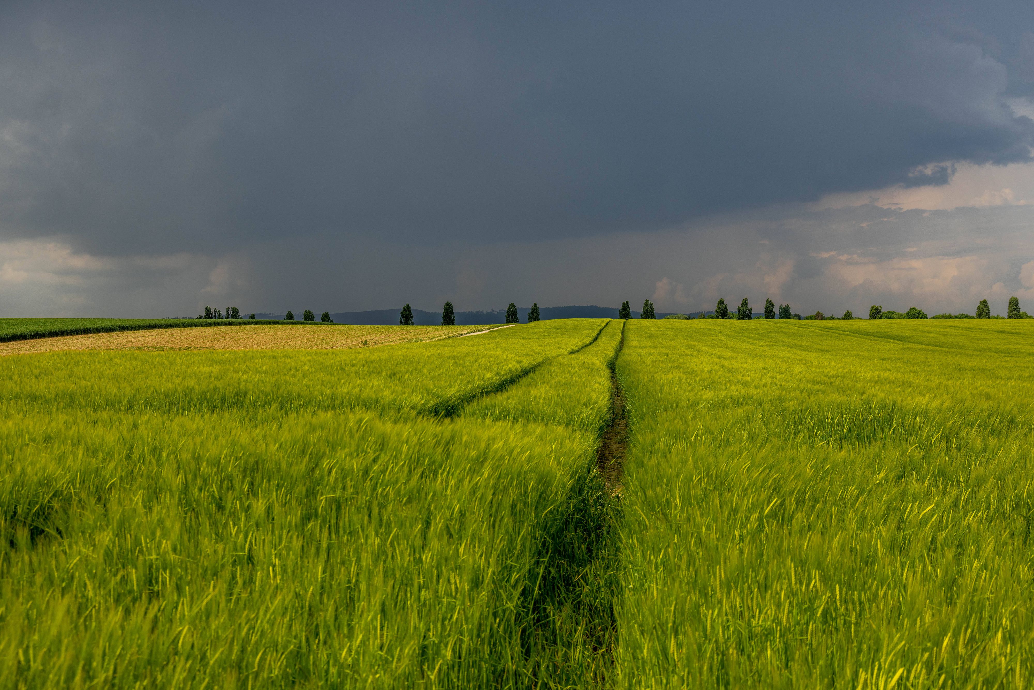 Zum Pfingstwochenende kann es in mehreren Regionen in Österreich zu Hitzegewittern kommen. 