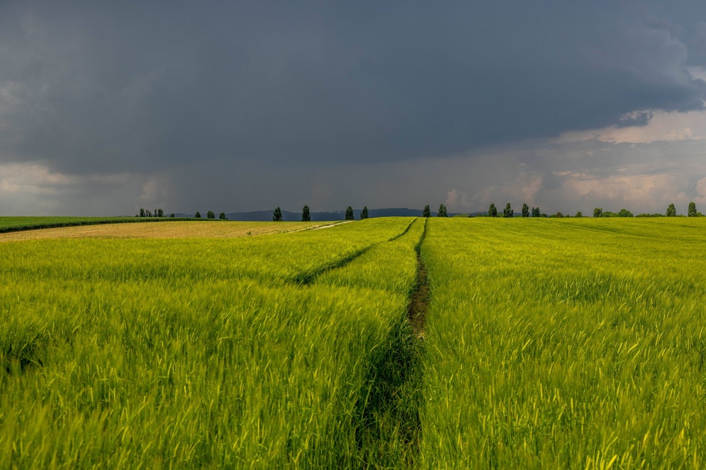Zum Pfingstwochenende kann es in mehreren Regionen in Österreich zu Hitzegewittern kommen. 