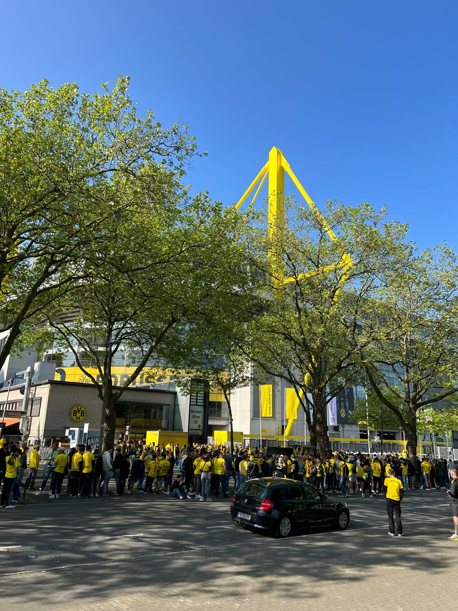 Fan-Wahnsinn in Dortmund