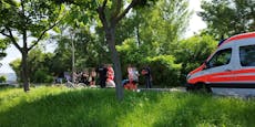 Radlerin stürzt auf Felsen – Wiener wütet gegen Stadt