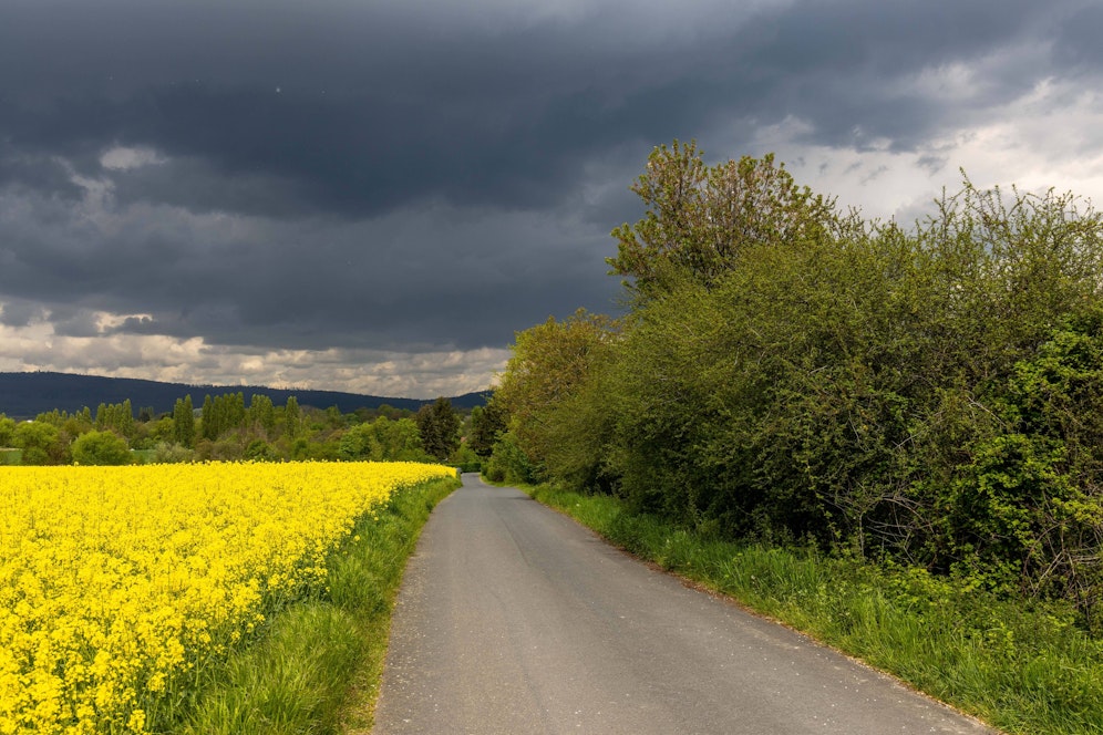 Am Pfingstmontag kann es in Teilen Österreich zu Wärmegewittern kommen. 