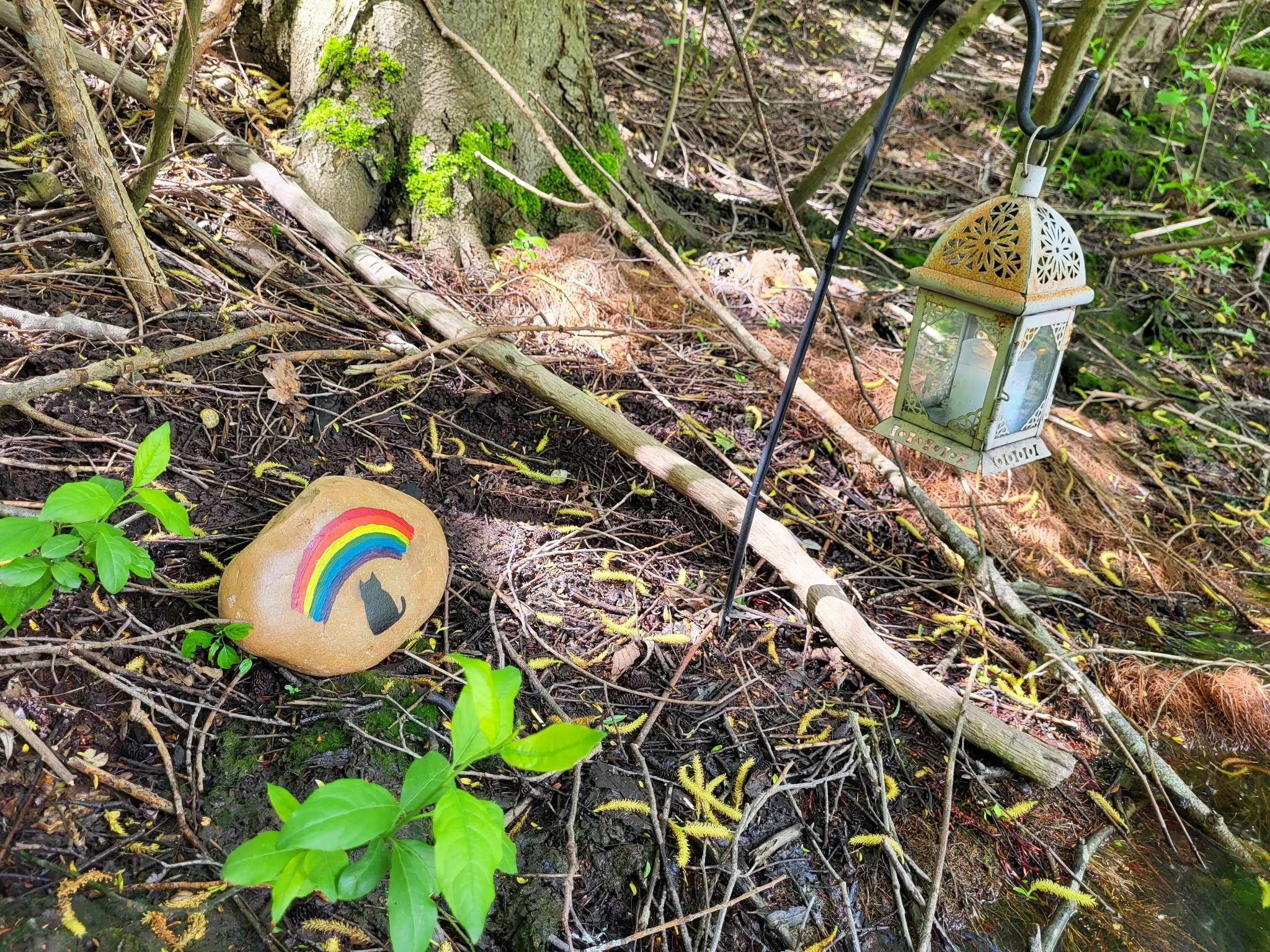 An einem kleinen Teich errichtete Pia Kräuchi zusammen mit ihrem Bruder eine Gedenkstätte für ihre Ende März verstorbene Mutter.