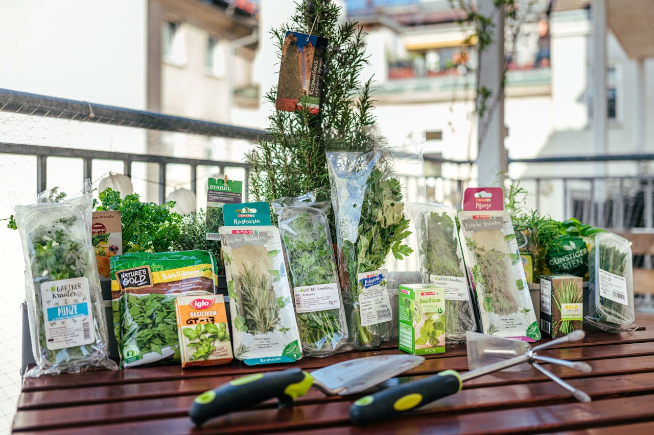 Heute.at - Supermarkt-Check: Pestizide auf Küchenkräutern entdeckt