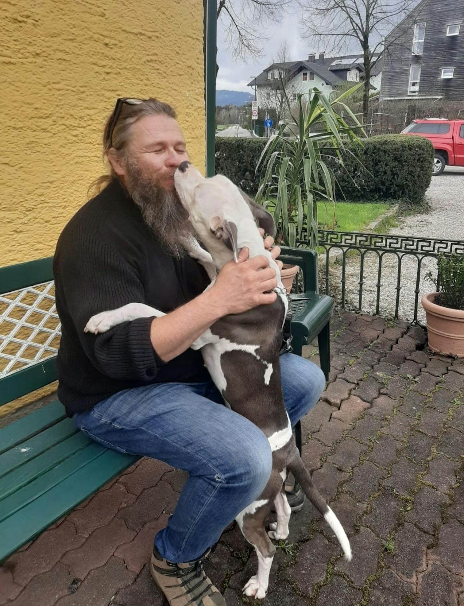 Bei der Pfotenhilfe wurde sie erstversorgt und zu Weihnachten fand sie&nbsp; einen neuen Besitzer. "Wir haben Lissy nach dem ersten Prozesstag besucht und sind von ihr überglücklich und dankbar abgeschmust worden", freut sich Pfotenhilfe-Chefin Johanna Stadler.