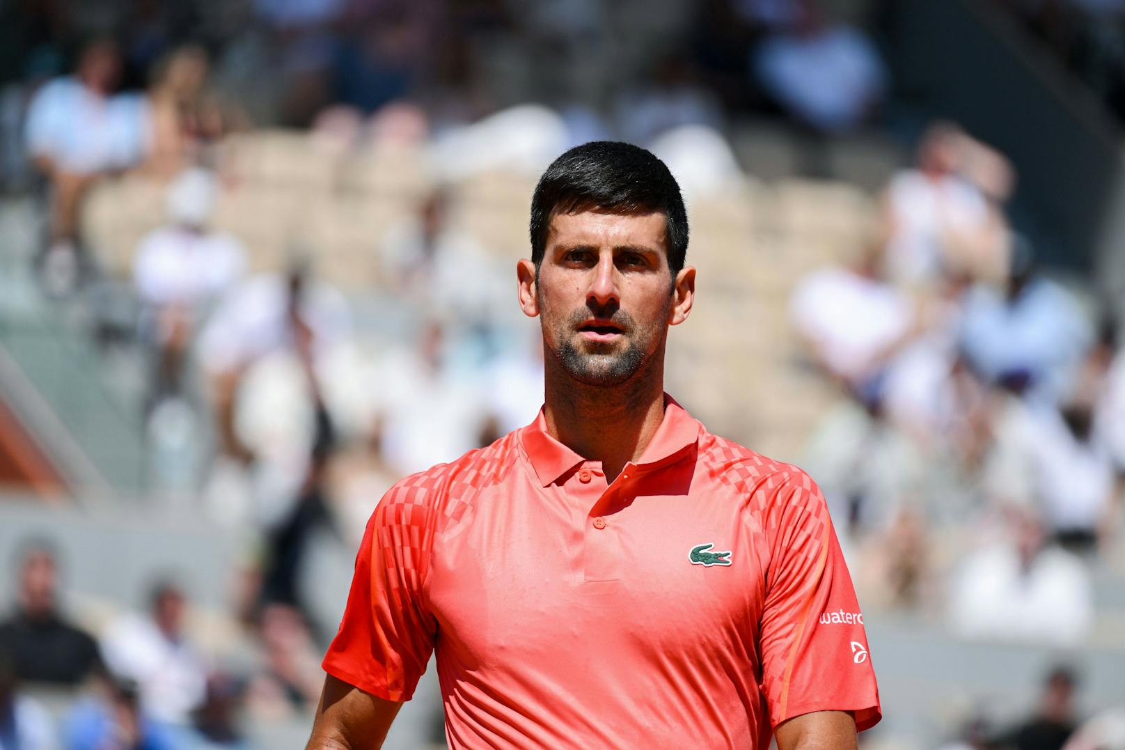 Serbiens Tennis-Star Novak Djokovic sorgte mit seiner Kosovo-Botschaft bei den French Open für Aufsehen. 