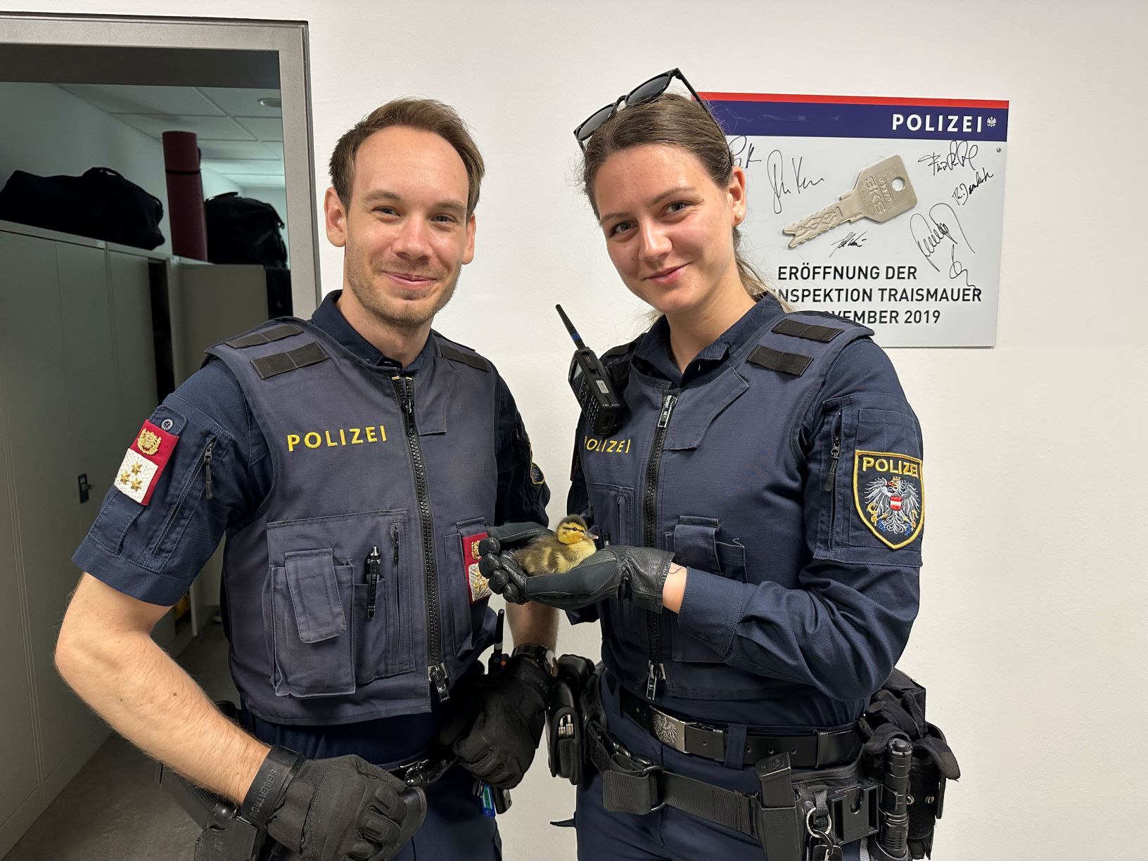 Polizei rettete in Traismauer Entenfamilie