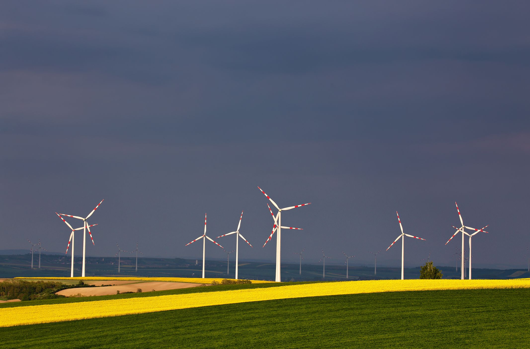 Windkraftanlagen inmitten blühender Rapsfelder vor Gewitterwolken an einem Frühlingstag in Österreich.
