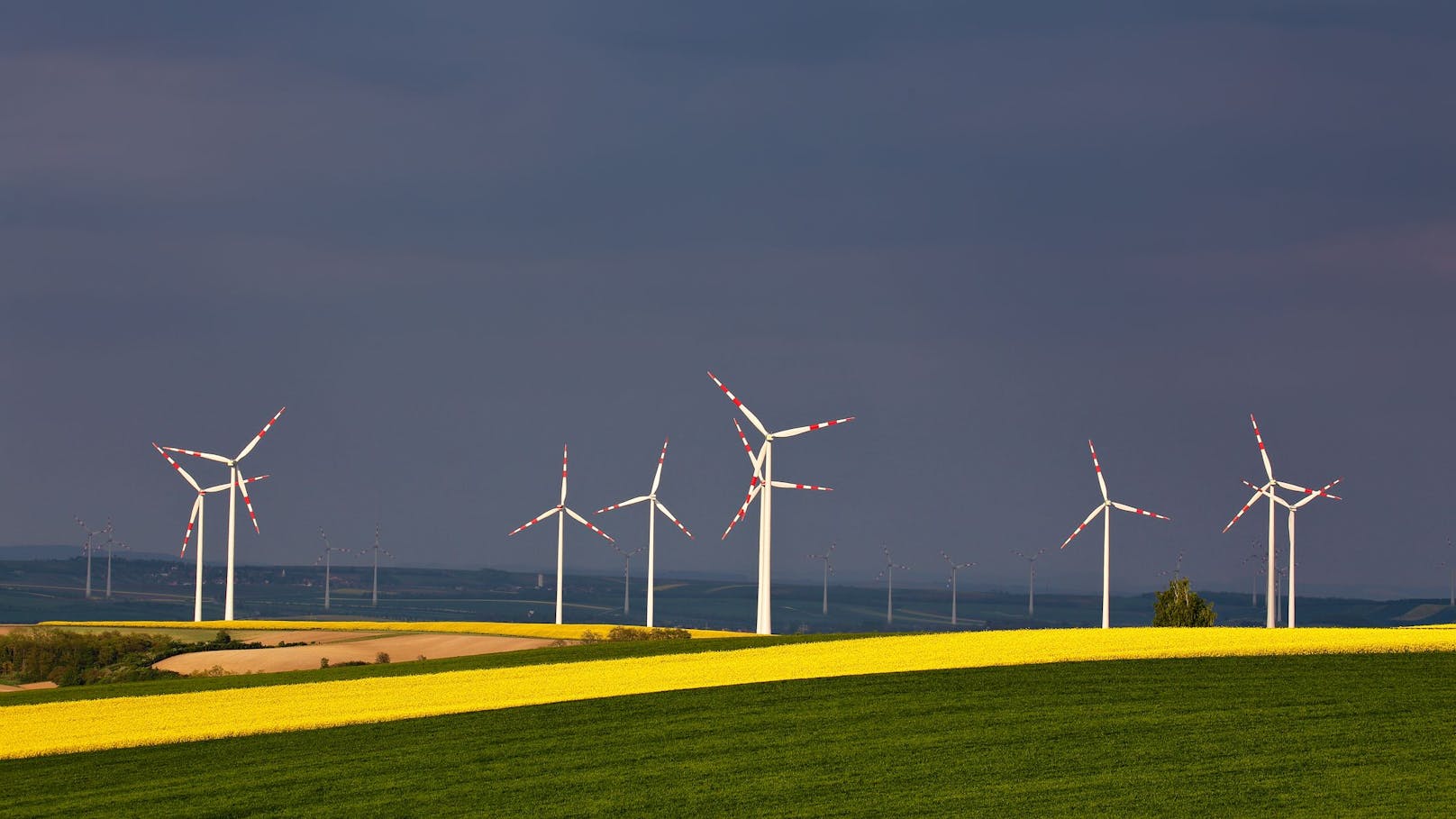 Windkraftanlagen inmitten blühender Rapsfelder vor Gewitterwolken an einem Frühlingstag in Österreich.