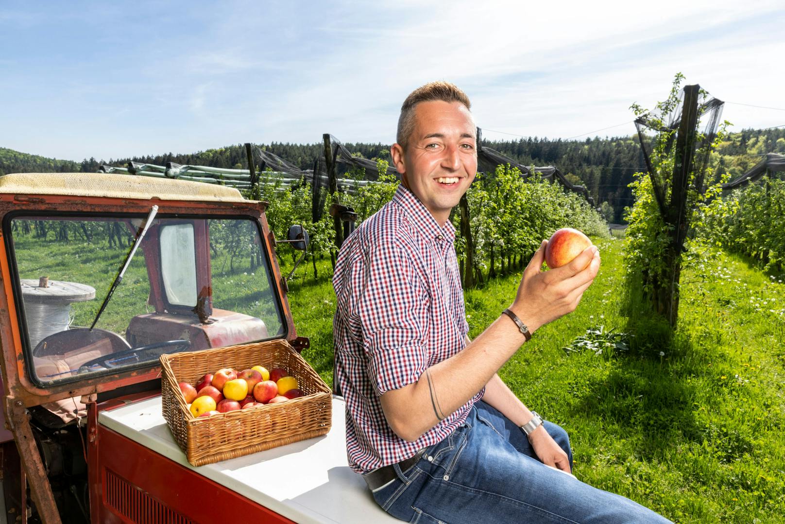 Simon - der aufgeweckte Obstbauer (33 Jahre) aus dem Bezirk Weiz (Steiermark)